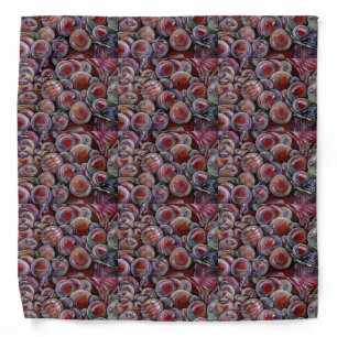 Red Christmas Balls Bandana