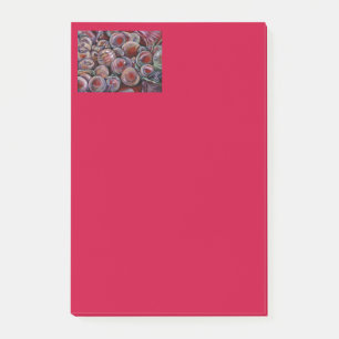 Red Christmas Balls Post-it Notes