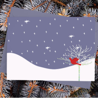 Red Christmas Bird Holiday Postcard