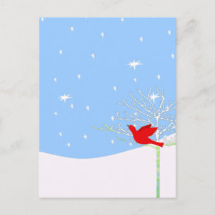 Red Christmas Bird Holiday Postcard