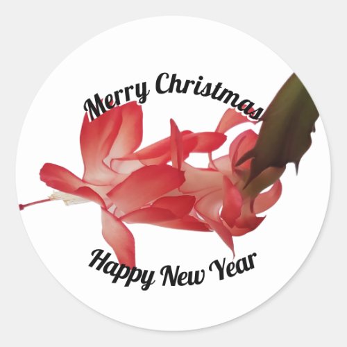 Red Christmas Cactus Floral Photo Merry Christmas Classic Round Sticker