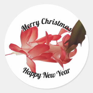 Red Christmas Cactus Floral Photo Merry Christmas Classic Round Sticker