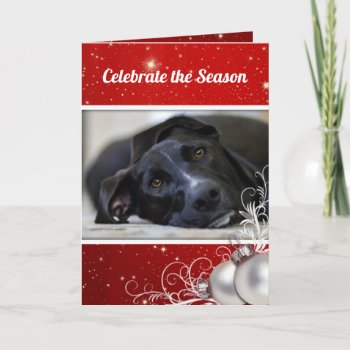 Red Christmas Family Pet Photo Greeting Holiday Card by holiday_store at Zazzle