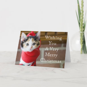 Red Christmas Kitten Holiday Card