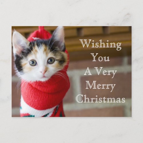 Red Christmas Kitten Holiday Postcard
