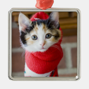Red Christmas Kitten Metal Ornament