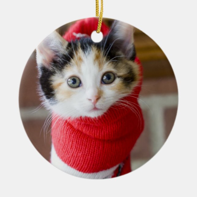 Red Christmas Kitten Metal Ornament (Front)