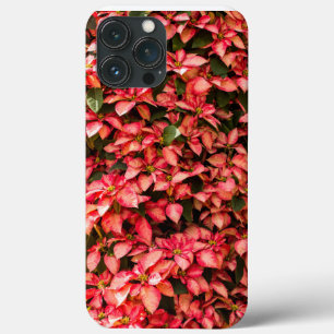 Red Christmas Poinsettia iPhone 13 Pro Max Case