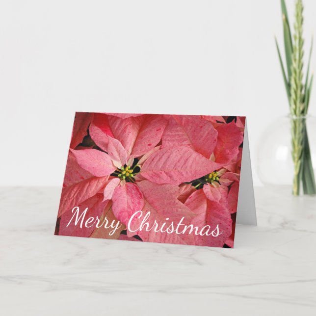 Red christmas poinsettia flowers holiday card (Front)
