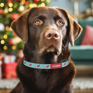 Red Christmas Stockings On Blue With Custom Name Pet Collar