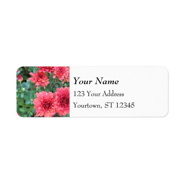 Red Chrysanthemum Blooms Label (Front)