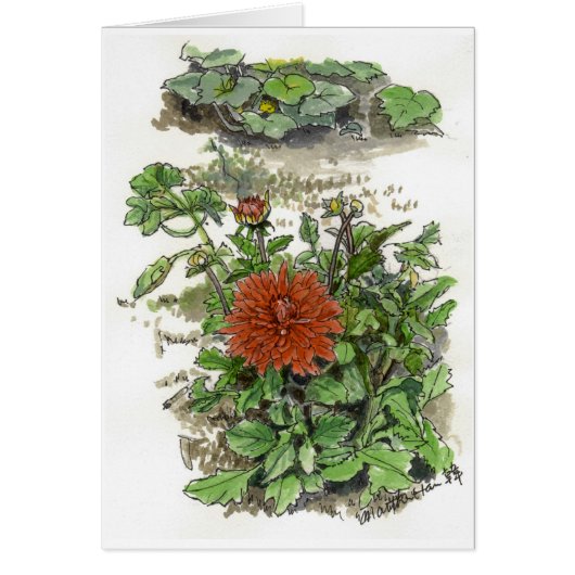 Red chrysanthemum cards (Front)