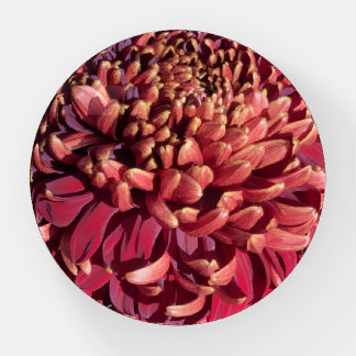 Red Chrysanthemum Paperweight