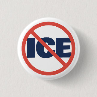 Red Circle Anti-Trump ICE Political Opinion Button
