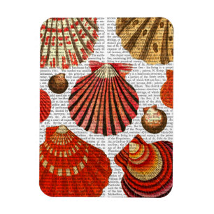 Red Clam Shells Magnet
