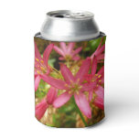 Red Clintonia Flowers at Redwoods Can Cooler
