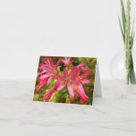 Red Clintonia Flowers at Redwoods Card