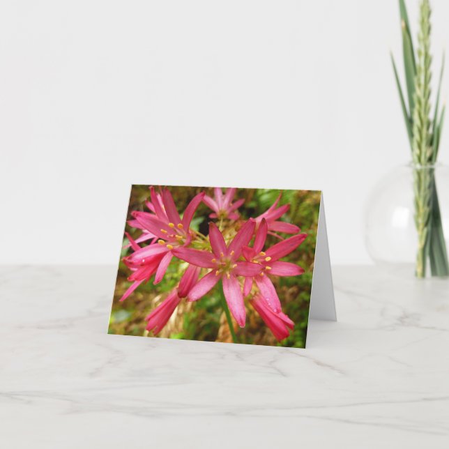 Red Clintonia Flowers at Redwoods Card (Front)