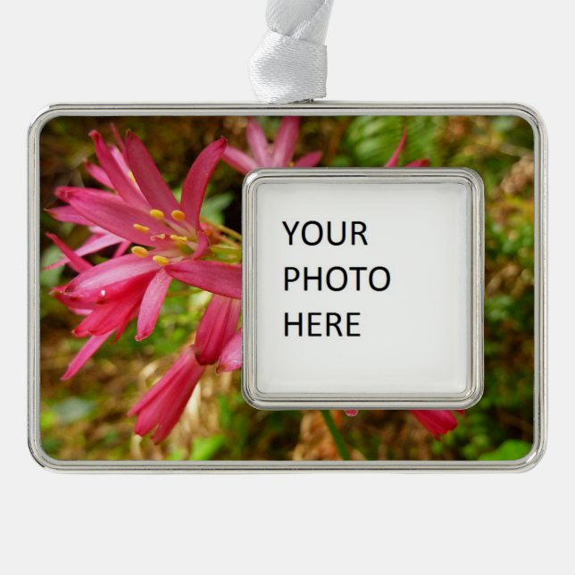 Red Clintonia Flowers at Redwoods Christmas Ornament (Front)