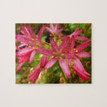 Red Clintonia Flowers at Redwoods Jigsaw Puzzle