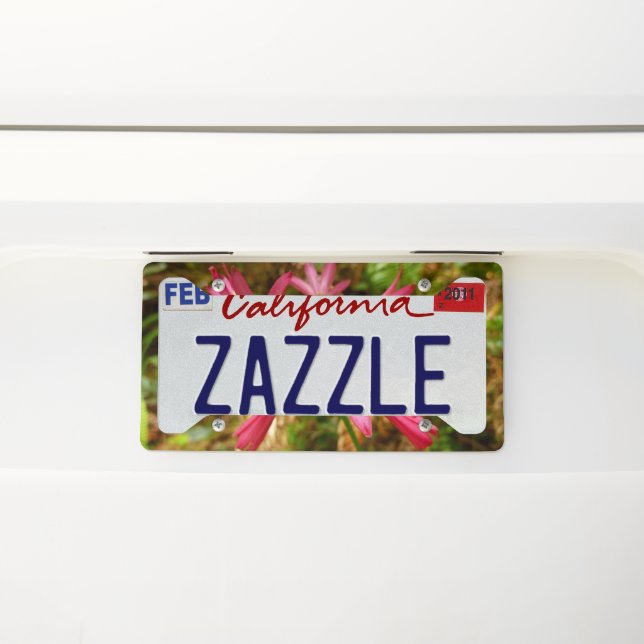 Red Clintonia Flowers at Redwoods License Plate Frame (On Car)