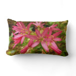 Red Clintonia Flowers at Redwoods Lumbar Pillow