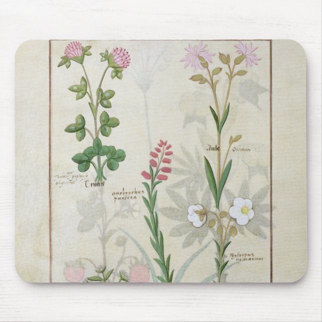Red clover & Aube Bellidis Onobrychis & Hyssopus Mouse Pad (Front)