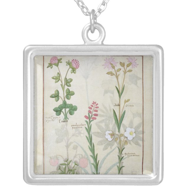 Red clover & Aube Bellidis Onobrychis & Hyssopus Silver Plated Necklace (Front)