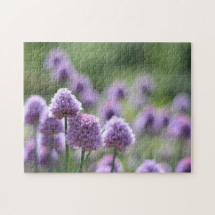 Red Clover Herb Purple Flowers Nature Photography Jigsaw Puzzle