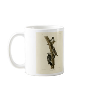 Red-Cockaded Woodpecker Audubon's Birds of America Coffee Mug