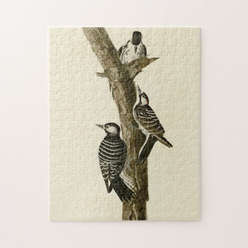 Red_Cockaded Woodpecker Audubons Birds of America Jigsaw Puzzle