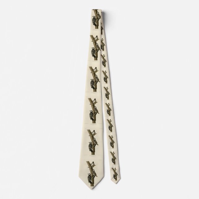 Red-Cockaded Woodpecker Audubon's Birds of America Neck Tie (Front)