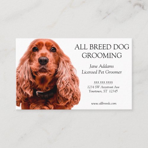 Red Cocker Spaniel Dog Grooming Pet Services Business Card