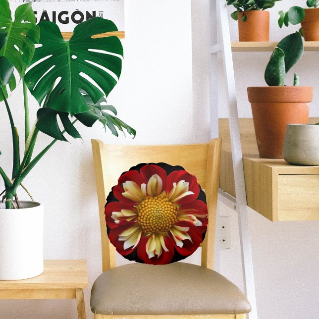 Red Collarette Dahlia Floral on Black Round Pillow (In Situ Chair)
