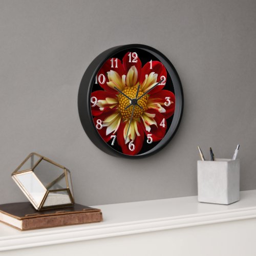 Red Collarette Dahlia on Black Floral Clock