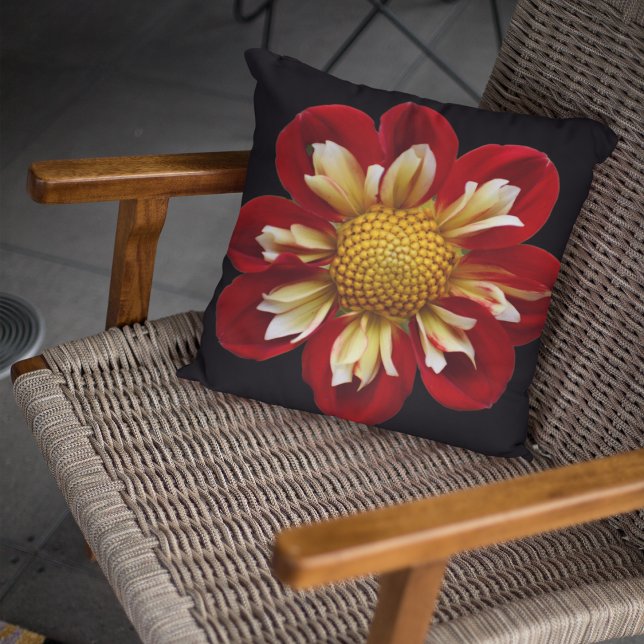 Red Collarette Dahlia on Black Floral Throw Pillow (In Situ Patio)
