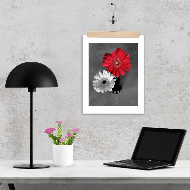Red Color Splash Gerber Daisy Photograph Poster (Gerber daisy photo red splash monochrome print / poster available with or without white matte.)