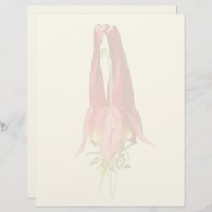 Red Columbine Flower Letterhead