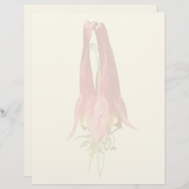 Red Columbine Flower  Letterhead (Front/Back)