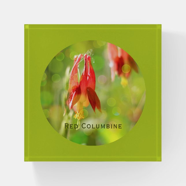 Red Columbine Flower on Atlantis Green Floral Paperweight (Front)