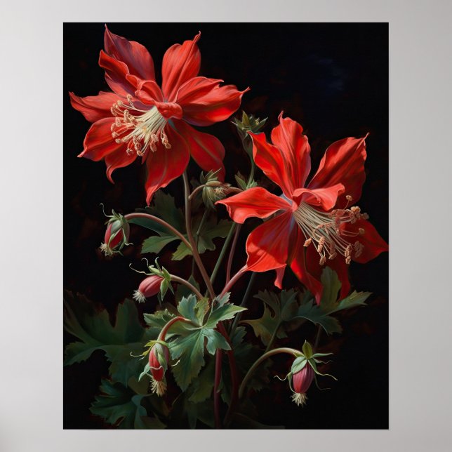 Red Columbine Flowers Art Print Poster (Front)