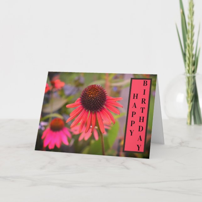 Red Cone Flowers Echinacea Happy Birthday Card (Front)