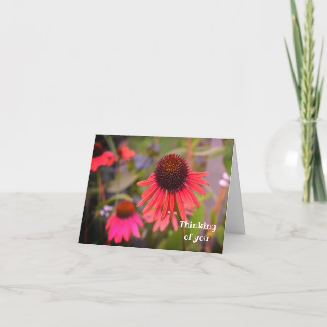 Red Cone Flowers Thinking of You Note Card (Front)