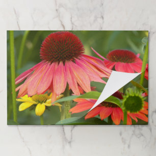 Red Coneflowers Floral Paper Placemats