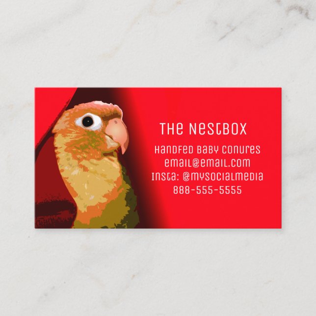 Red Conure Parakeet Bird Breeder Foster Or Rescue Business Card (Front)