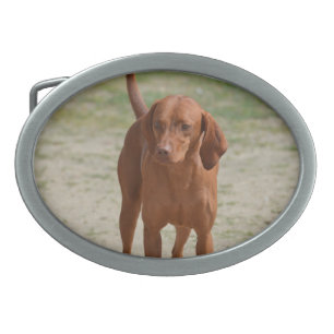Red Coonhound Belt Buckle