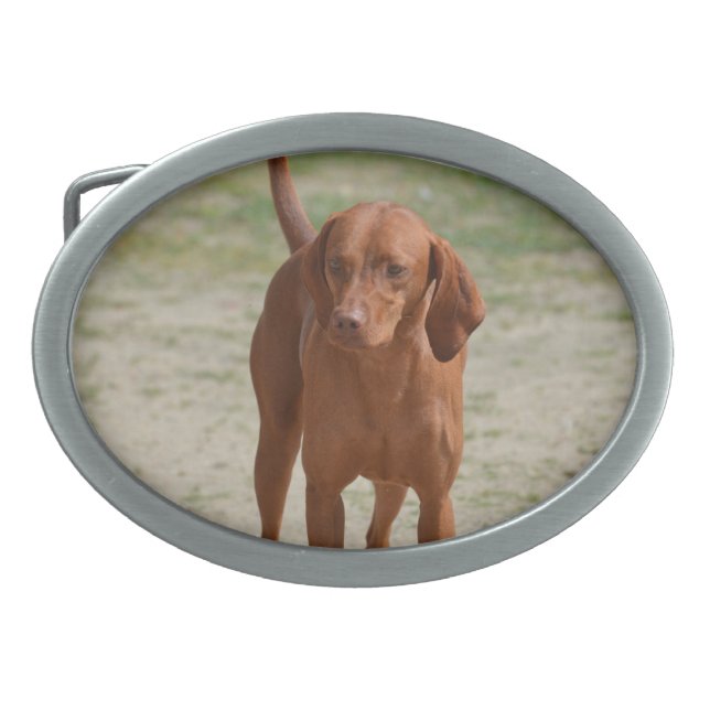Red Coonhound Belt Buckle (Front)