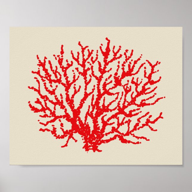 Red Coral Beach Wall Art Poster Print Decor (Front)