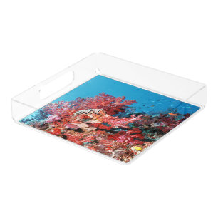 Red Coral Reef Acrylic Tray