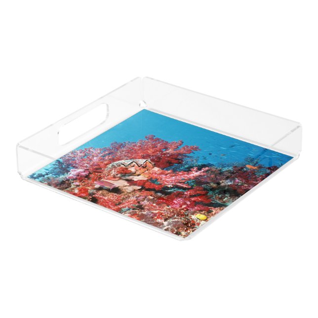 Red Coral Reef Acrylic Tray (Angled)